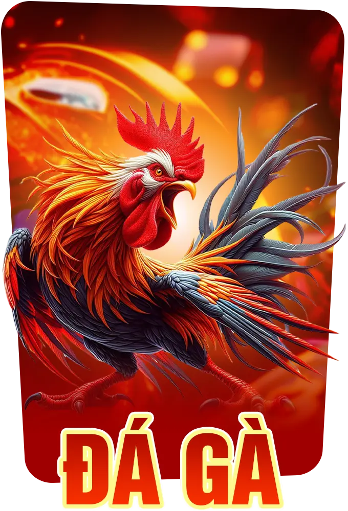 đá gà 79win