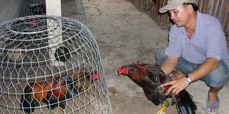 Ngoài dinh dưỡng thì lịch ăn uống cũng cần xây dựng khoa học