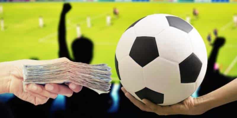 Nhận Định Bóng Đá 79Win - Dự Đoán Chính Xác, Nhanh Chóng